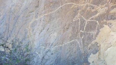 Tarihi petrographs. Oymalar geri kalma 10 000 Bc, Qobustan, Azerbaycan.