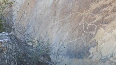 Tarihi petrographs. Oymalar geri kalma 10 000 Bc, Qobustan, Azerbaycan.