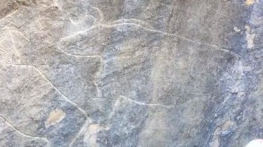 Tarihi petrographs. Oymalar geri kalma 10 000 Bc, Qobustan, Azerbaycan.