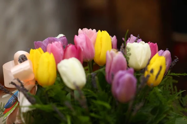 Beau fond de fleurs de tulipes de couleur pourpre — Photo