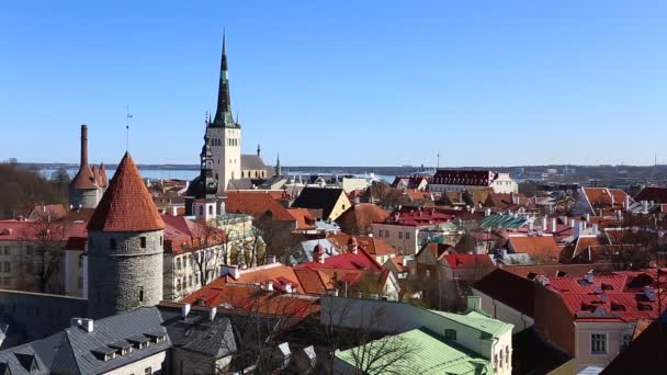 Вид с воздуха на старый город в Таллине, с красными крышами и церковью в центре города. Архитектура, старые дома, улицы и кварталы. Старый город — стоковое видео