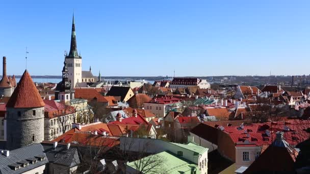 A légi felvétel a régi város, Tallin Észtország, a piros háztetők és a templom a város közepén. Építészet, régi házak, utcák és környékek. Európa Tallinn Old Town — Stock videók