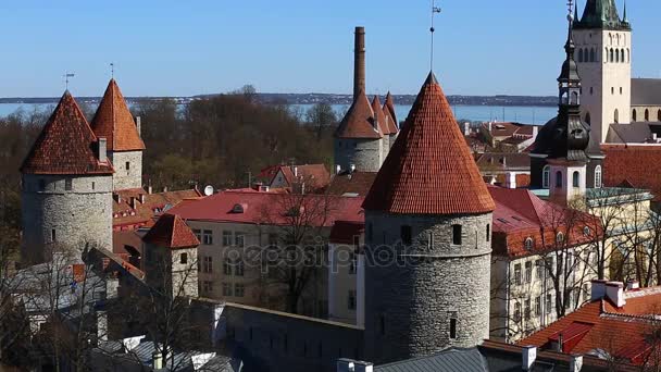 Eine Luftaufnahme der Altstadt in Tallin Estland mit den roten Dächern und der Kirche mitten in der Stadt. Architektur, alte Häuser, Straßen und Stadtviertel. europa tallinn altstadt — Stockvideo