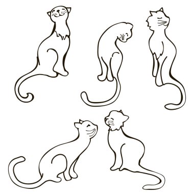 Kedi koleksiyonu - vektör set