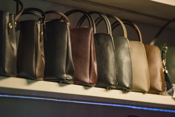 Handtaschen Hintereinander Einem Geschäft — Stockfoto