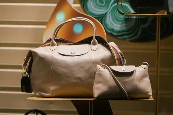 París Francia Marzo 2019 Elegantes Bolsos Una Tienda Lujo París — Foto de Stock