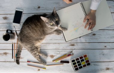 Kız kedisiyle evde çalışıyor.