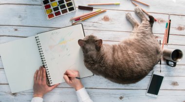 Kız kedisiyle evde çalışıyor.