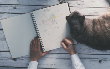 Kız kedisiyle evde çalışıyor.