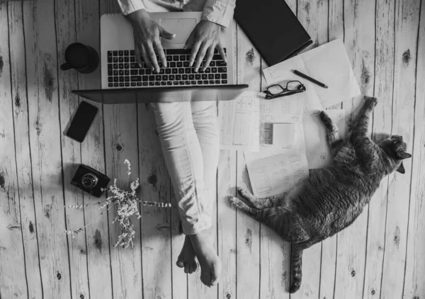 Espace Travail Convivial Fille Travaillant Avec Son Chat Maison — Photo