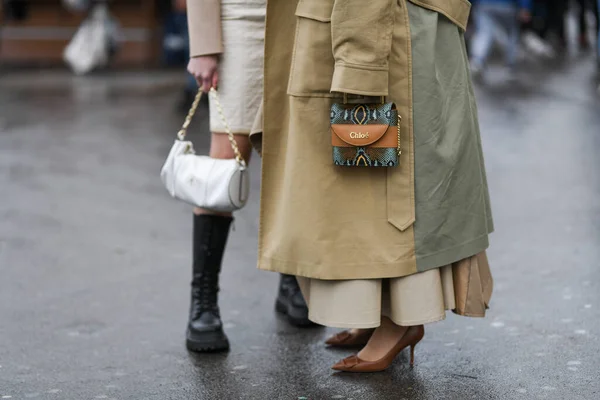 Paris França Fevereiro 2020 Snake Print Chloe Handbag Streetstylefw20 — Fotografia de Stock