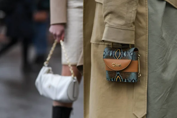 Paris Frankreich Februar 2020 Chloé Handtasche Mit Schlangenprint Streetstylefw20 — Stockfoto