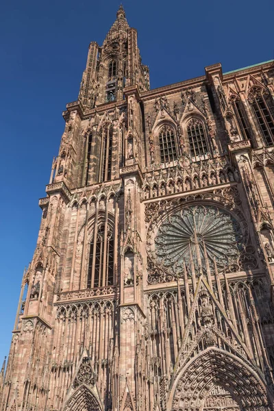 Mirando hacia la torre de la Catedral —  Fotos de Stock