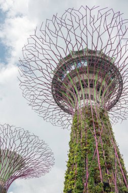 Bir supertree Bay tarafından bahçelerde görünümünü