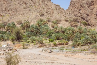 Wadi Al-Abraeen vaha