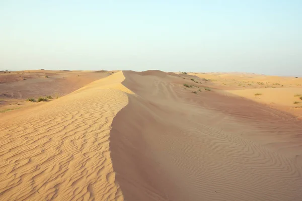 Cerro de dunas de arena con marcas de viento — Foto de Stock