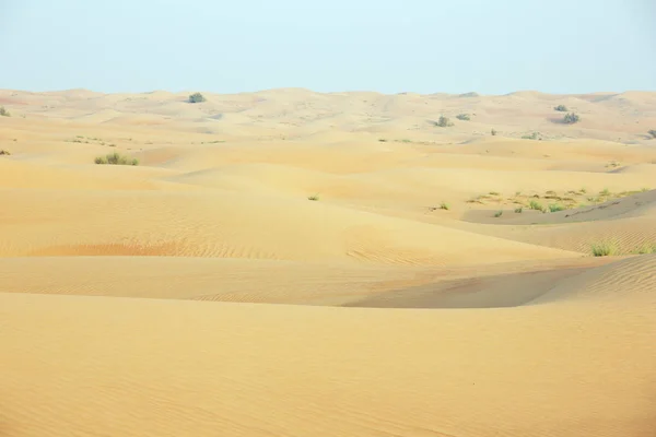 Mudando dunas de areia com marcas de vento — Fotografia de Stock