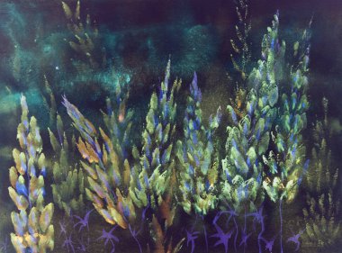 Her gece blueish lupines izlenimi.