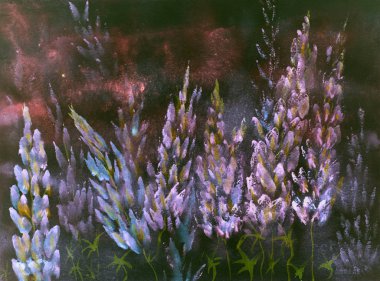 Blueish lupines sıcak kırmızımsı gece izlenimi. 