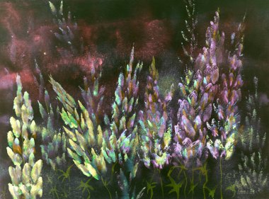 Her gece sıcak kırmızımsı sarı ve pembe lupines izlenimi.