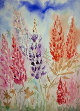 Kırmızı ve mor lupines düşük bir bakış açısıyla izlenimi