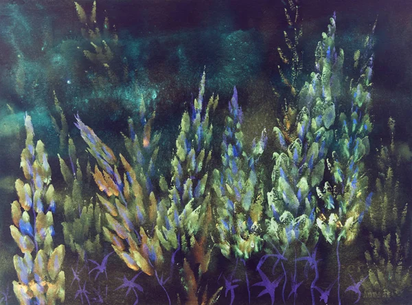 Her gece blueish lupines izlenimi.