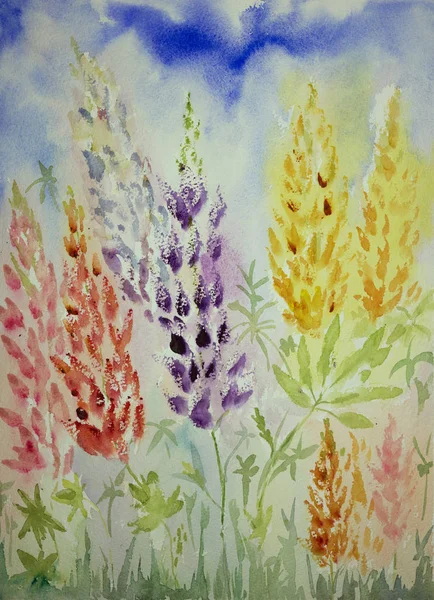 Düşük bir bakış açısıyla blueish lupines izlenimi. 