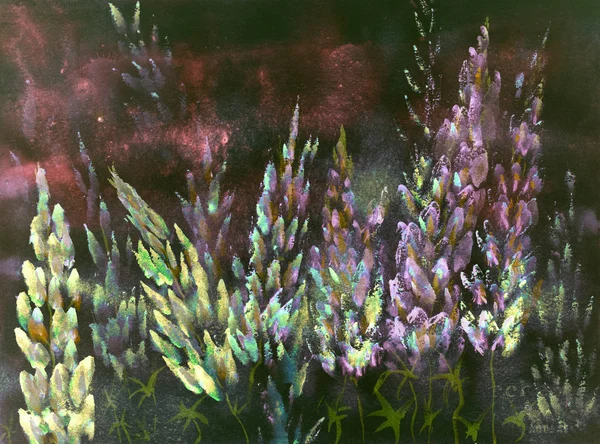 Her gece sıcak kırmızımsı sarı ve pembe lupines izlenimi.