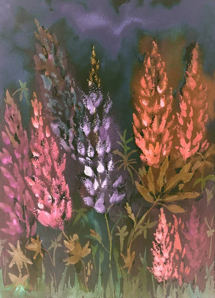 Kırmızı ve mor lupines düşük bir bakış açısından sıcak gece izlenimi. 