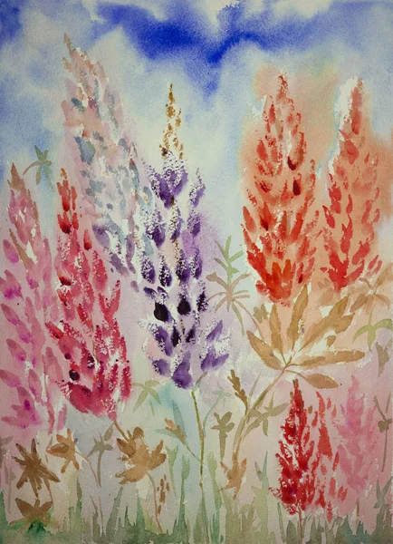 Kırmızı ve mor lupines düşük bir bakış açısıyla izlenimi