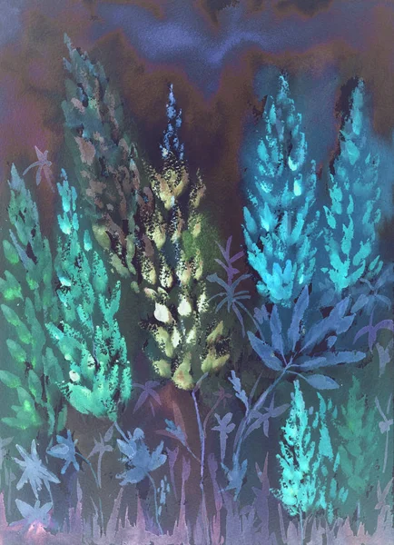 Düşük bir bakış açısıyla blueish lupines her gece izlenimi. 
