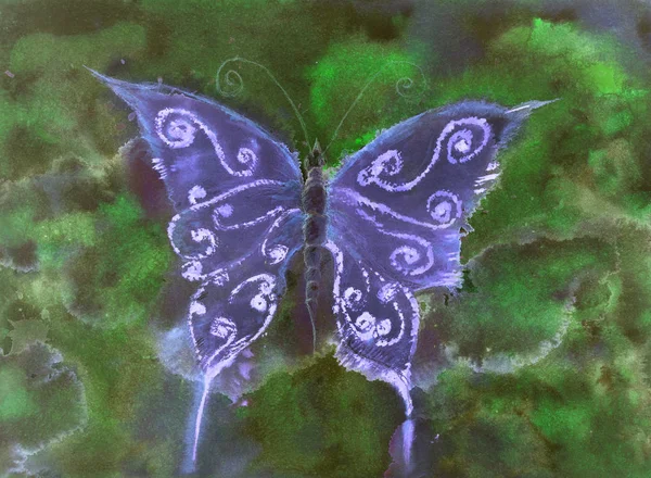 Papillon dans les tons de bleu sur un fond vert la nuit . — Photo