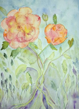 Gül Naive izlenimi. 