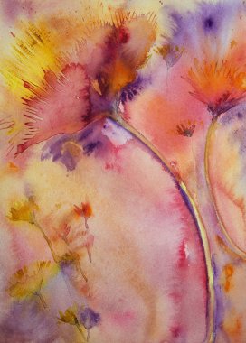 Patlayan renklerle ravelled gül.