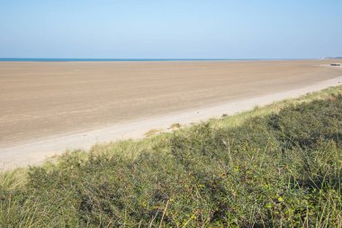 Bildiğim kadarıyla bir boş bir plaj görebilirsiniz