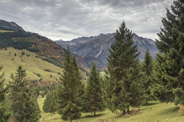 In de bossen van Bad Hindelang — Stockfoto