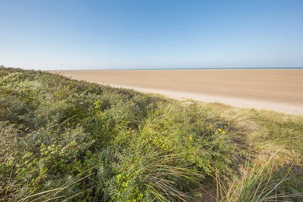 Una playa casi vacía e inconmensurable — Foto de Stock