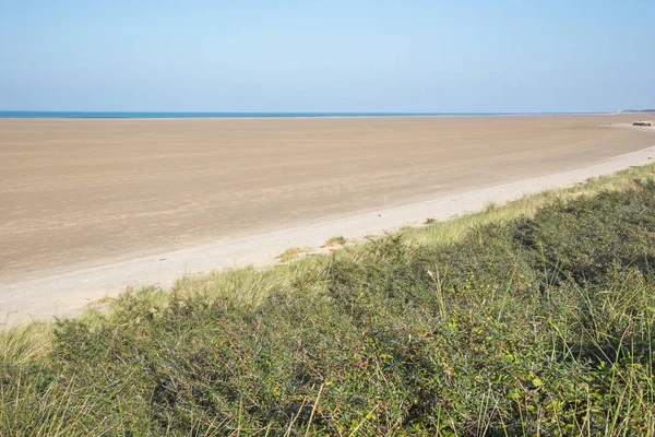 Bildiğim kadarıyla bir boş bir plaj görebilirsiniz