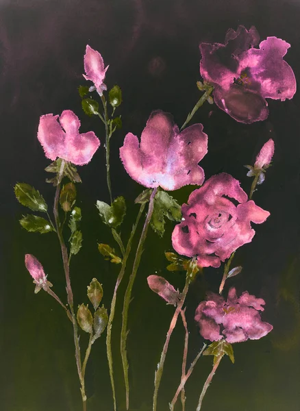 Rosor Grön Bakgrund Badda Tekniken Nära Kanterna Ger Mjuk Fokus — Stockfoto