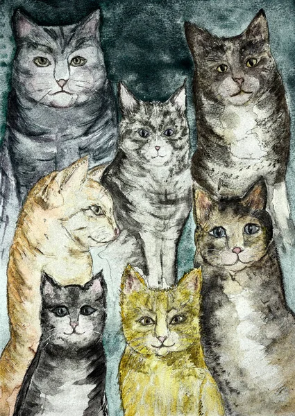 Rustik cats turkuaz bir arka plan ile farklı bir toplama. Yumuşak odak etkisi nedeniyle değişmiş yüzey pürüzlülüğü kağıdın dabbing tekniği verir.