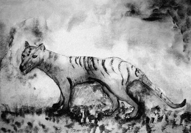 Tazmanya tiger siyah ve beyaz. Kenarlarına yakın dabbing teknik kağıt değişmiş yüzey pürüzlülüğü nedeniyle yumuşak odak etkisi verir.