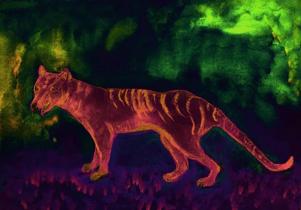 Tasmanian Tiger Aurora Australis Badda Tekniken Nära Kanterna Ger Mjuk — Stockfoto