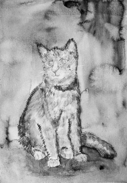 背景の黒と白の子猫 軽くたたくテクニックにより 用紙の変更の表面粗さによるソフト フォーカス効果 — ストック写真