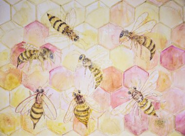 Gathering of bees in hexagon construction. The dabbing technique gives a soft focus effect due to the altered surface roughness of the paper clipart