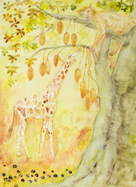 Giraffen Äta Från Baobab Träd Med Sovande Lejoninna Badda Tekniken — Stockfoto