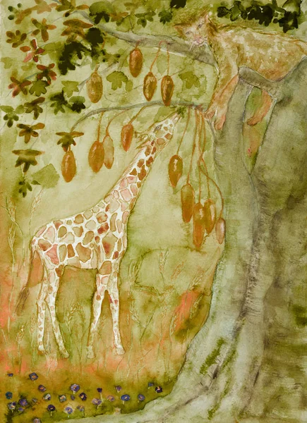 Löwin Schläft Einem Baobab Baum Mit Einer Fressenden Giraffe Die — Stockfoto