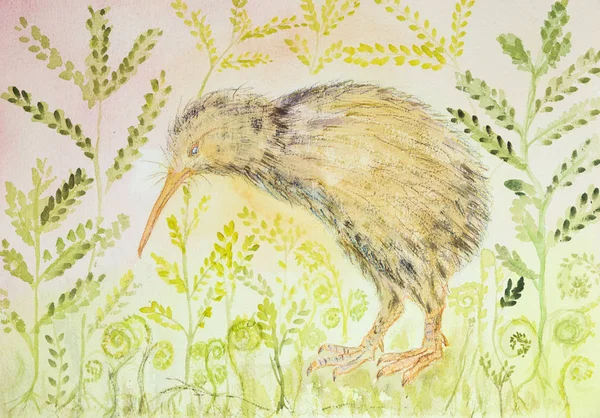 Kiwi bird with background of varen and leaves. The dabbing technique near the edges gives a soft focus effect due to the altered surface roughness of the paper.