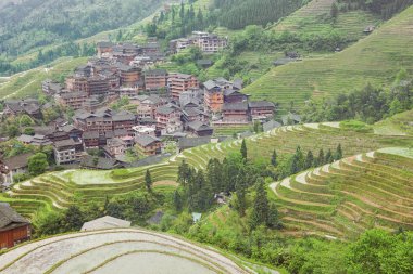 Yazı: Ping 'Ancun, Longsheng, Guangxi, Çin - 20 Nisan 2019 - Ping' ancun köyüne kadar uzanan pirinç tarlaları