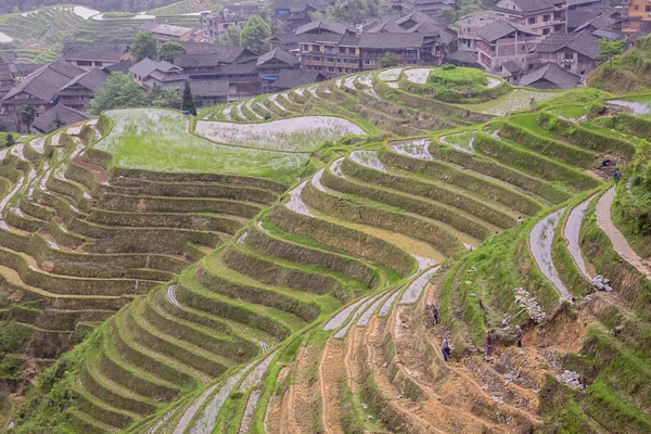 Editorial Ping Ancun Longsheng Guangxi China Abril 2019 Trabalhadores Reparando — Fotografia de Stock