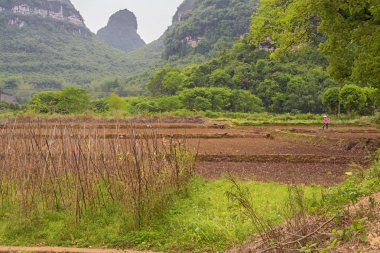 Yayın: Yangshuo, Guangxi, Çin, 19 Nisan 2019 - Guilin yakınlarında Yangshuo yakınlarında bir tarlada çalışan çiftçi